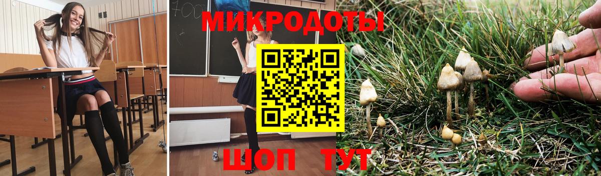 Псилоцибиновые грибы GOLDEN TEACHER  Вход с VPN  Карачаевск 
